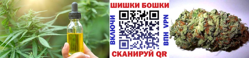 Купить закладки  Шатура  Cannafood марихуана 